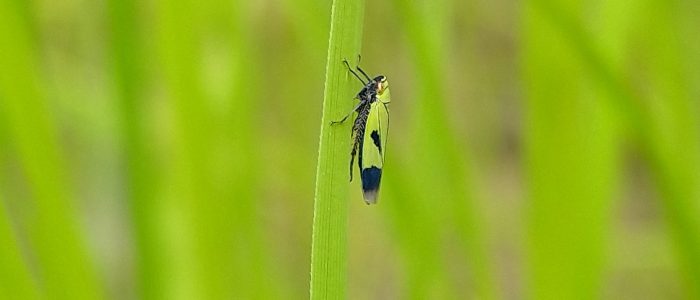 IMG_20190621_104512